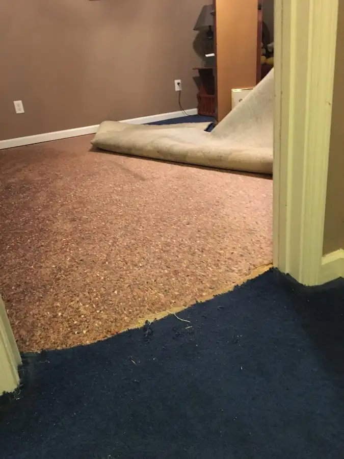 Carpet pad removal revealing water damage during Water Mitigation Services in Lakewood Ranch